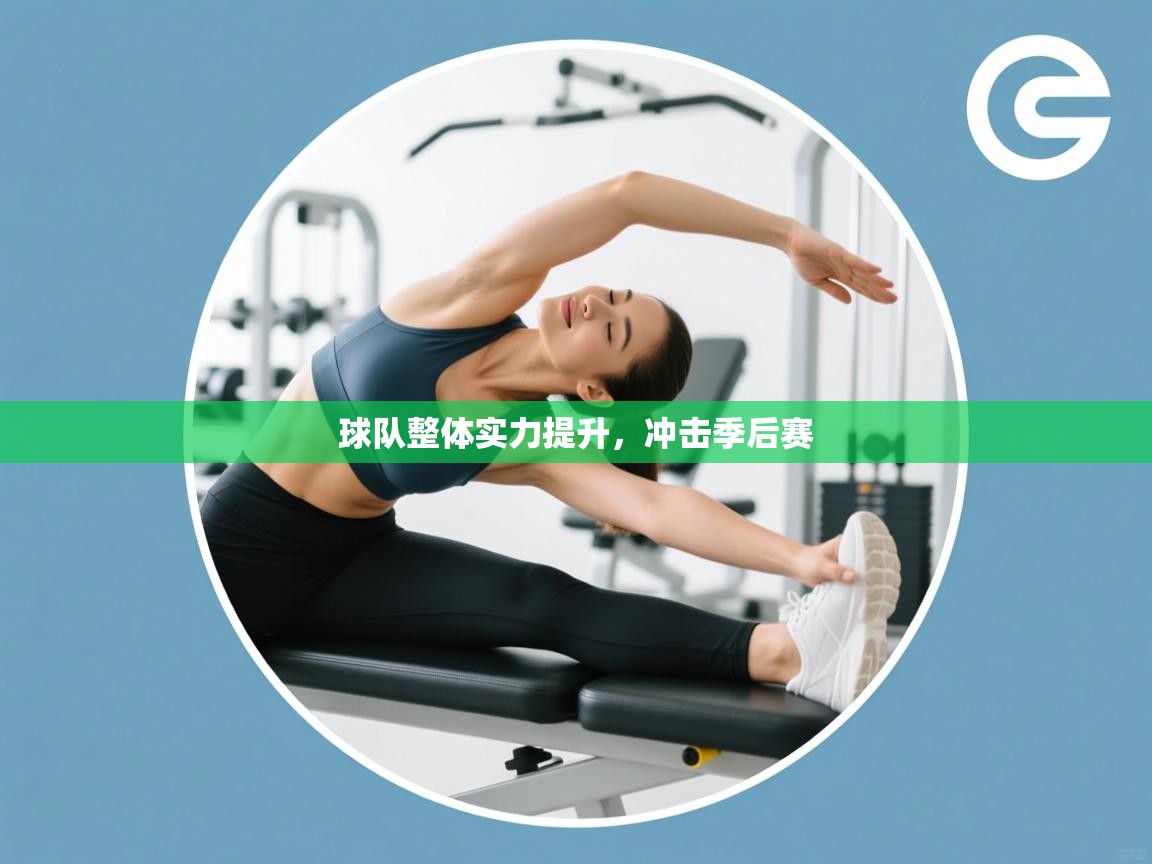 球队整体实力提升，冲击季后赛  第2张