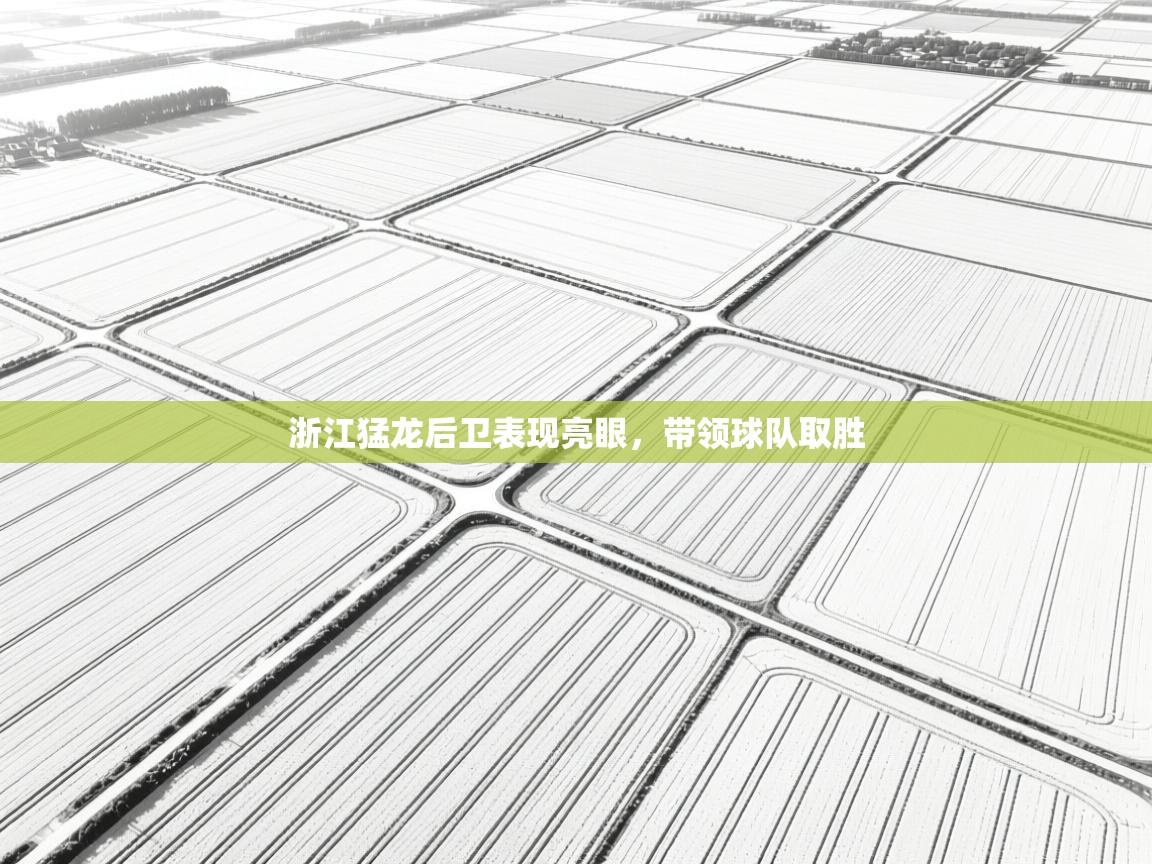 浙江猛龙后卫表现亮眼，带领球队取胜  第1张