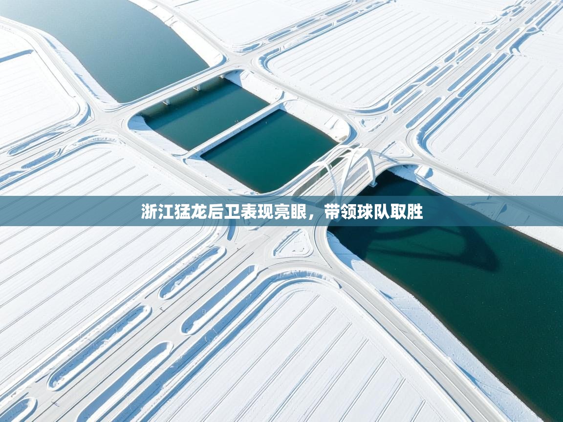 浙江猛龙后卫表现亮眼，带领球队取胜  第2张