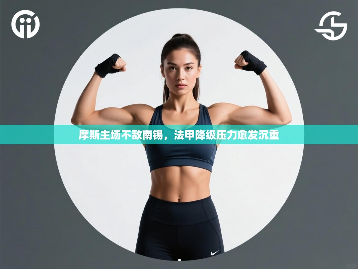 摩斯主场不敌南锡，法甲降级压力愈发沉重