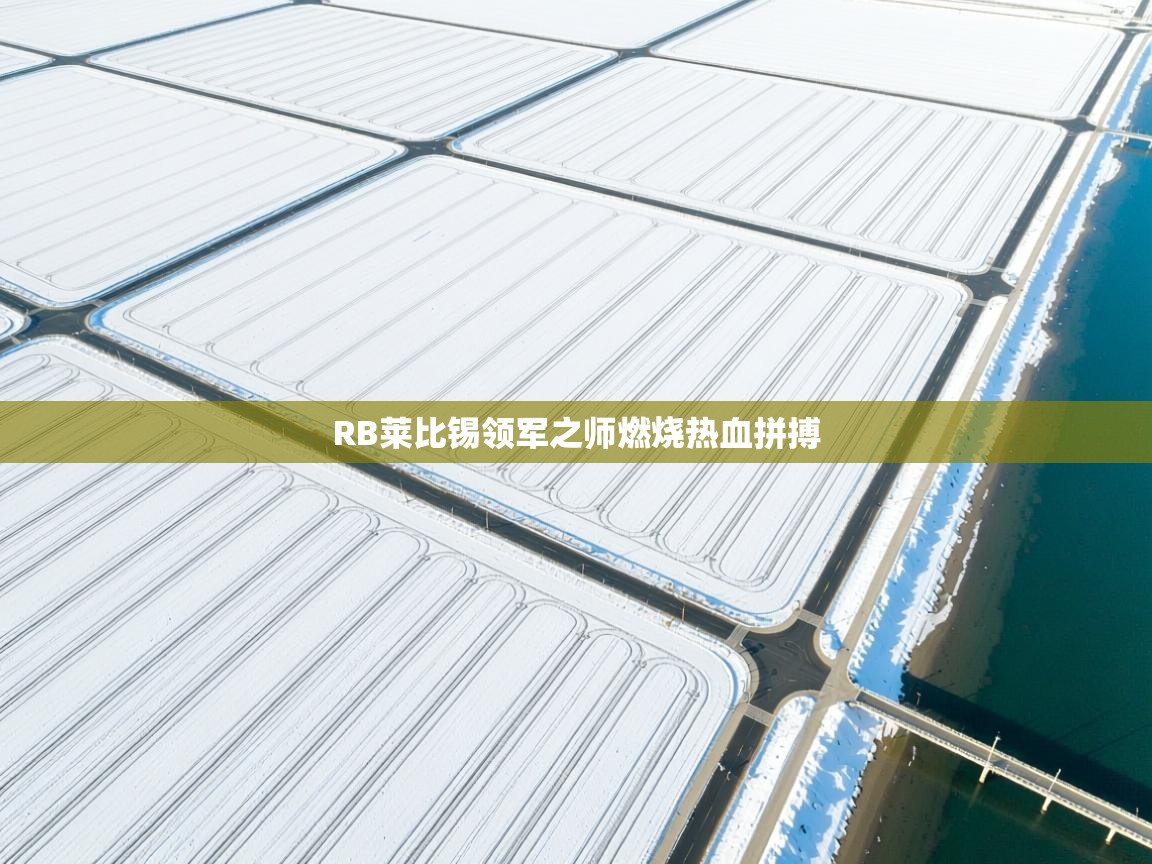 RB莱比锡领军之师燃烧热血拼搏