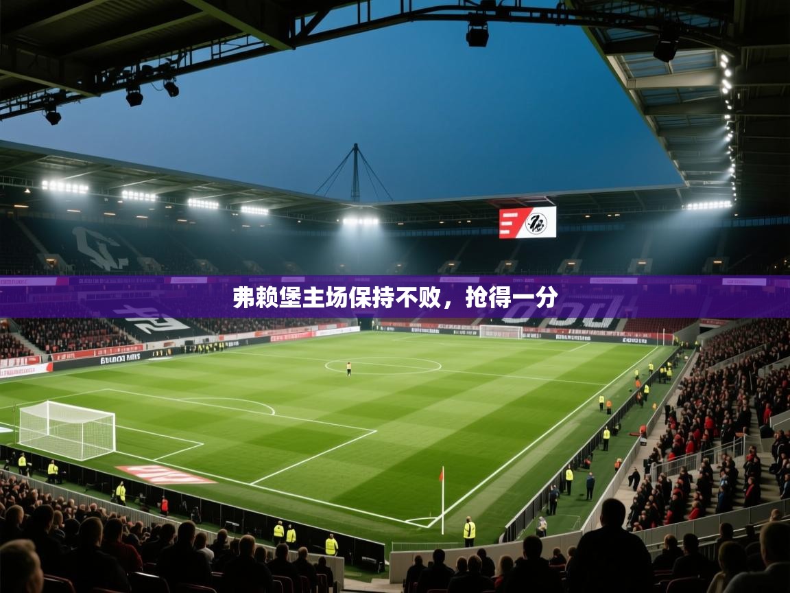 弗赖堡主场保持不败,抢得一分 第1张