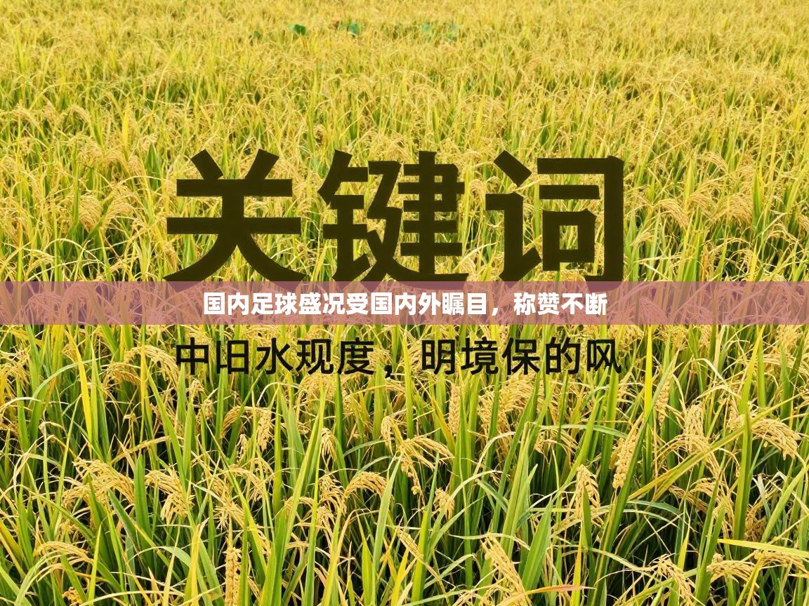 国内足球盛况受国内外瞩目，称赞不断